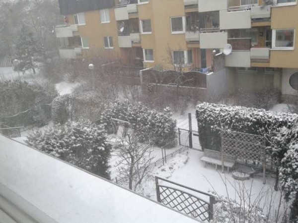 Schnee 23.1.16.jpg