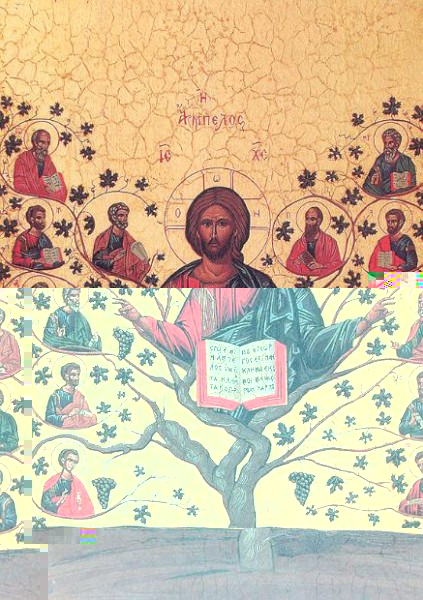 christus-bibel-weinstock.jpg
