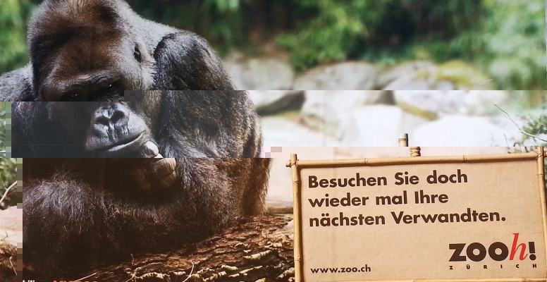 Zoo Werbung-klein.jpg