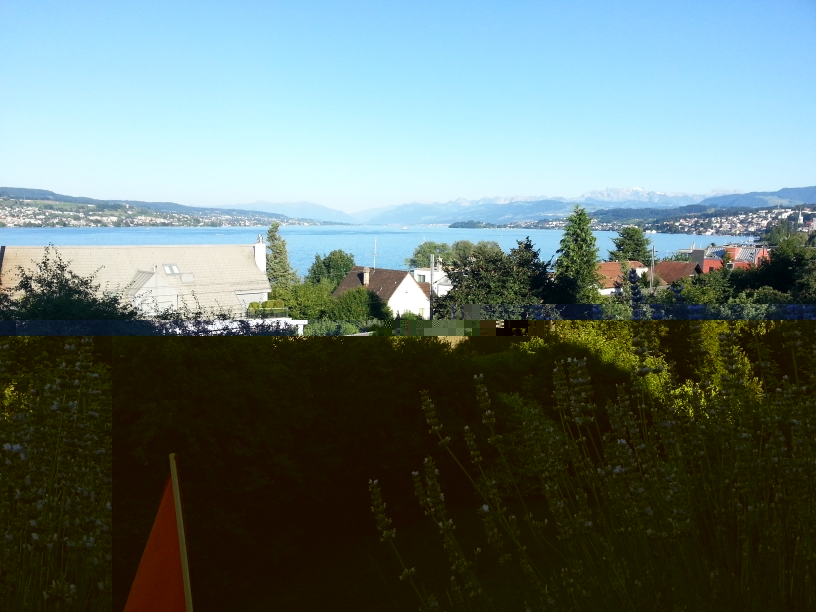 20130801_191516-klein.jpg