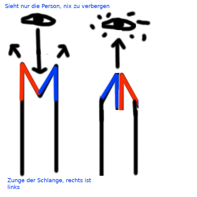 Zunge-Vers2.jpg