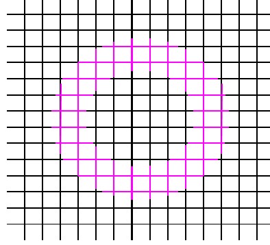 20190116_130235.jpg