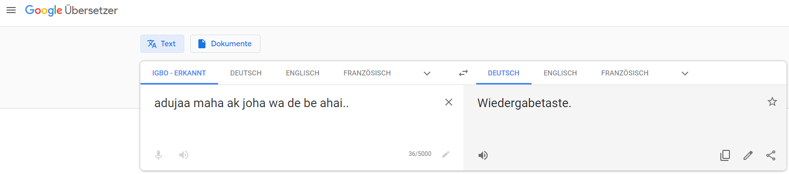 googletranslator.PNG