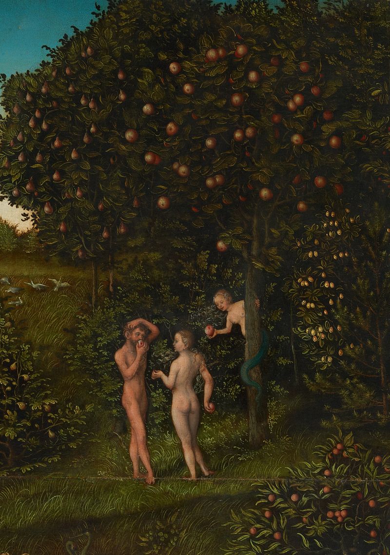 800px-The_Fall_of_Man_by_Lukas_Cranach.jpg